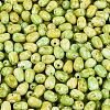 Picasso Glass Seed Beads SEED-N012-10I-3
