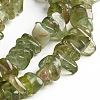 Natural Green Apatite Chips Beads Strands X-G-D0002-A13-3