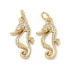 Brass Micro Pave Cubic Zirconia Pendants LS-KK-F926-01A-1