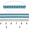 Spray Painted 304 Stainless Steel Curb Chains STAS-B067-05B-06-2
