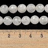 Natural Quartz Crystal Beads Strands G-E571-A11-02-5
