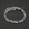 Natural Fluorite Beads Strands G-F460-16-2