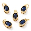Real 18K Gold Plated Brass Inlaid Cubic Zirconia Charms ZIRC-L100-079G-02-1