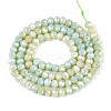 Anti-Tarnish Electroplate Rondelle Glass Beads Strands EGLA-T021-4mm-17-05-2