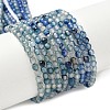 Natural Agate Beads Strands X-G-E469-12W-2
