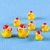 Mini Duck Resin Display Decorations FIND-SZC0013-345-3