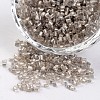 8/0 Two Cut Silver Lined Round Hole Glass Seed Beads SEED-I006-21-1