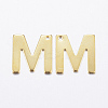 304 Stainless Steel Charms X-STAS-P141-M-2