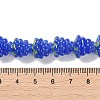 Handmade Lampwork Beads Strands LAMP-Q036-05F-4