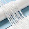 Imitate Austrian Crystal Frosted Glass Beads Strands LS-GLAA-F029-TM2mm-B13-4