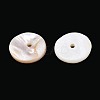 Natural Freshwater Shell Beads Strands SHEL-N037-03A-01-3