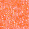 Transparent Inside Colours Glass Seed Beads SEED-T007-11F-2