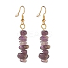 Natural Amethyst Chip Beaded Dangle Earrings EJEW-JE04788-05-1