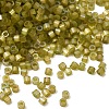 Glass Seed Beads GL-CBA5413-02B-1