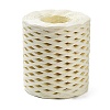 Raffia Ribbon SENE-PW0003-104K-1