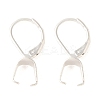 Ion Plating(IP)  304 Stainless Steel Leverback Earring Findings STAS-U025-01S-02-1