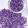 Plated Glass Seed Beads MRMJ-S034-04G-1