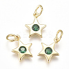 Brass Micro Pave Cubic Zirconia Charms X1-ZIRC-F111-09G-2