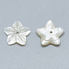 Natural White Shell Beads SSHEL-S260-018-2