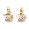 Brass Cubic Zirconia Charms FIND-Z005-02B-1