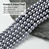 Eco-Friendly  Dyed Glass Pearl Round Beads Strands HY-A002-8mm-RB028-2