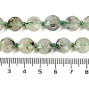 Natural Prehnite Beads Strands G-C116-A19-01-5