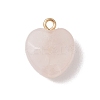 Natural Rose Quartz Pendants PALLOY-JF04862-1