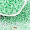 Glass Seed Beads SEED-A032-05E-1