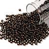 TOHO 8/0 Round Beads SEED-TR08-2205-1