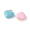 Alloy Enamel Heart Charms PALLOY-E775-09G-2
