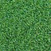 MIYUKI Round Rocailles Beads SEED-G007-RR0259-3