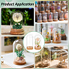 2Pcs Glass Cloche Dome Covers AJEW-BC0008-81-5