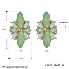 Hot Fashion Exaggerated Style Earrings EJEW-BB31829-B-2