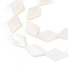 Natural Freshwater Shell Beads Strands SHEL-T020-13H-3