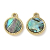 304 Stainless Steel Natural Paua Shell Pendants STAS-U037-12G-01-1