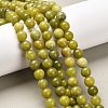 Natural Gemstone Beads GSR032-2