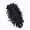 Ostrich Feather Costume Accessories FIND-R036-C-07-1