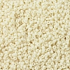 MIYUKI Round Rocailles Beads SEED-G007-RR0492-3
