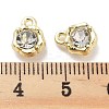 Rack Plating Alloy Rhinestone Charms PALLOY-F311-17G-01-3