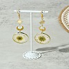 Brass Dangle Earrings EJEW-FS00017-7