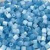 Glass Seed Beads SEED-H002-D-A811-3