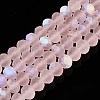 Transparent Glass Beads Strands EGLA-A044-T8mm-MB22-1