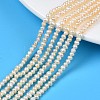 Natural Cultured Freshwater Pearl Beads Strands PEAR-N013-03B-1