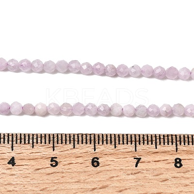 Natural Kunzite Beads Strands X-G-G343-B04-3mm-1