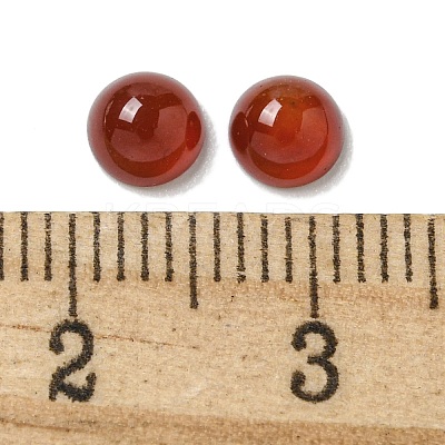 Natural Carnelian Cabochons X-G-Q173-01B-14-1
