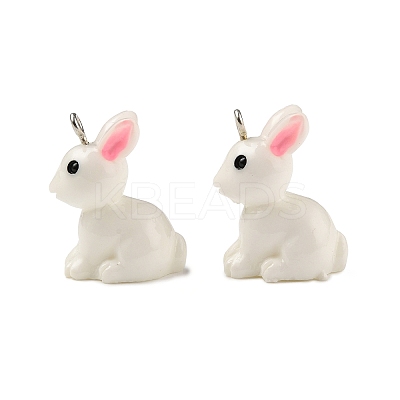Resin Pendants X-RESI-S356-53-1