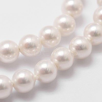 Shell Pearl Bead Strands BSHE-L025-01-4mm-1