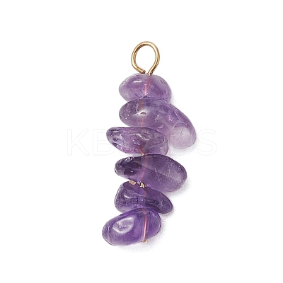 10Pcs 5 Colors 12 Constellation Natural Citrine & Golden Sheen Obsidian & Rose Quartz & South Red Agate & Amethyst Pendants PALLOY-JF02839-09-1