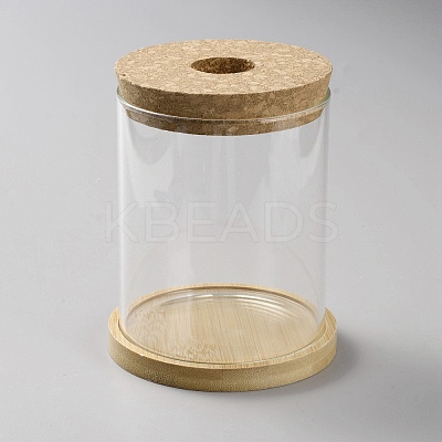 Column Glass Hydroponics Plants Pot Flower Bottle Tube Vase AJEW-WH0541-11B-1