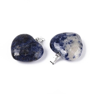 Natural Sodalite Pendants G-N349-05B-P-1